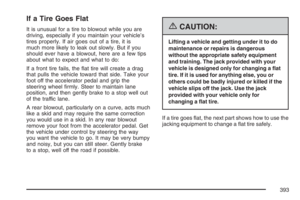 Page 393