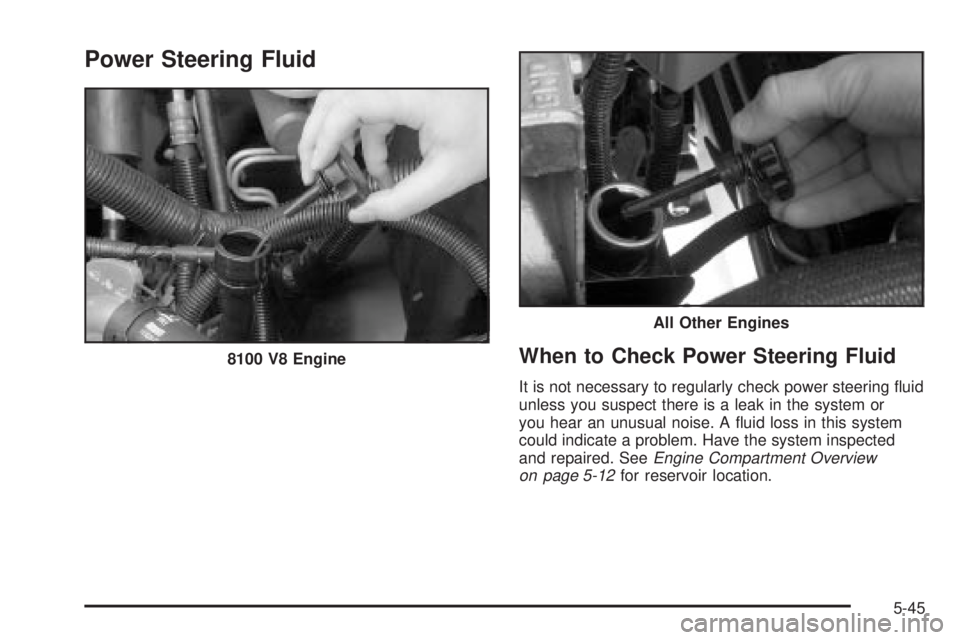 GMC SIERRA 2004  Owners Manual Power Steering Fluid
When to Check Power Steering Fluid
It is not necessary to regularly check power steering ¯uid
unless you suspect there is a leak in the system or
you hear an unusual noise. A ¯u