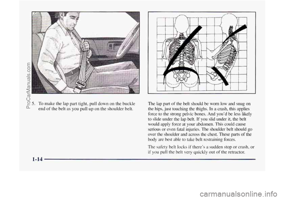GMC ENVOY 1998  Owners Manual 5. To make the lap part  tight,  pull down on the buckle 
end 
of the belt as  you pull up on the  shoulder  belt.  The 
lap part of  the  belt  should  be  worn  low  and  snug  on 
the  hips,  just 