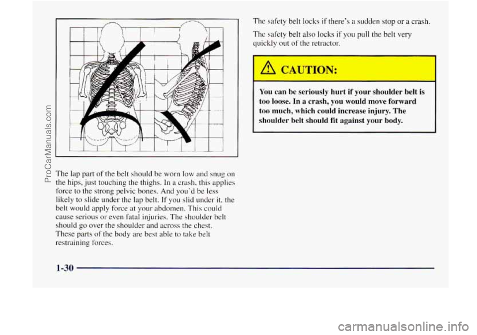 GMC ENVOY 1998  Owners Manual The lap part of the belt should  be  worn low and snug on 
the hips,  just touching the thighs. 
In a crash. this applies 
force  to the  strong pelvic bones.  And youd  be less 
likely  to slide und