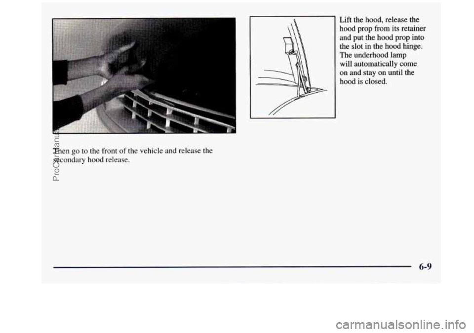 GMC SAVANA 1998  Owners Manual Lift  the hood, release  the 
hood  prop  from  its retainer 
and  put  the  hood prop into 
the  slot  in  the  hood hinge. 
The  underhood  lamp  will  automatically  come 
on and  stay on until  th