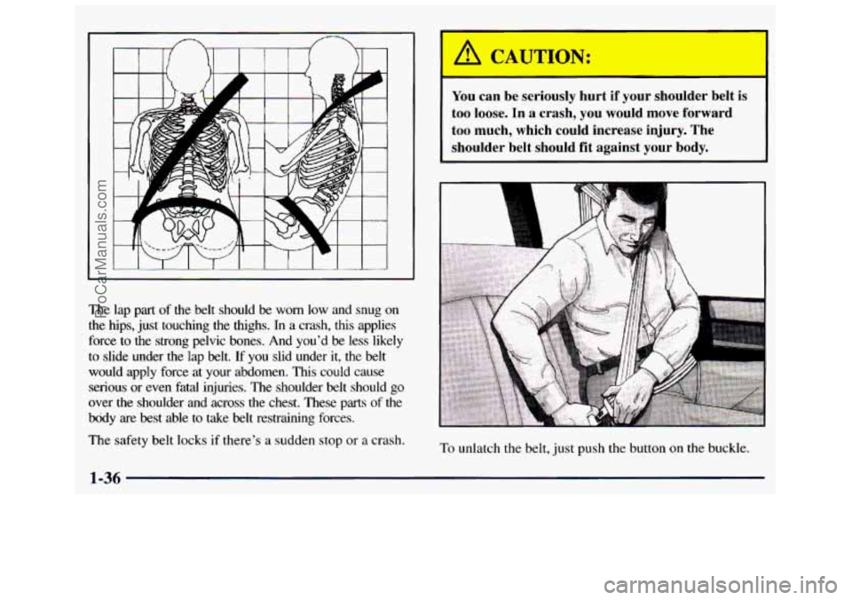 GMC SAVANA 1998  Owners Manual The lap  part  of  the  belt  should  be  worn  low  and  snug on 
the  hips,  just  touching  the  thighs. In a  crash, this applies 
force  to the  strong  pelvic 
bones. And  you’d be less  likel