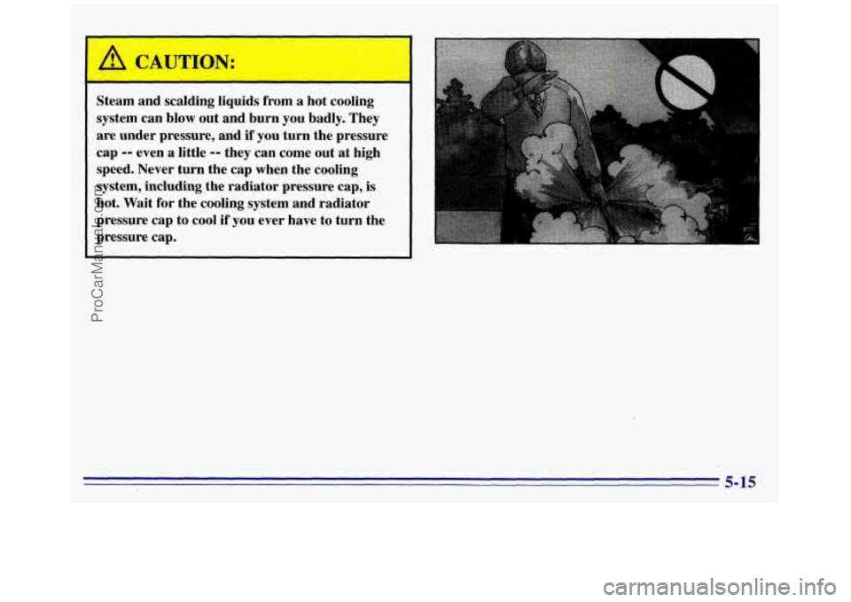 GMC SAVANA 1996  Owners Manual Steam and scalding  liquids  from a hot  cooling 
system  can blow  out and  burn 
you badly.  They 
are  under  pressure,  and 
if you turn  the pressure 
cap 
-- even  a little -- they  can come  ou