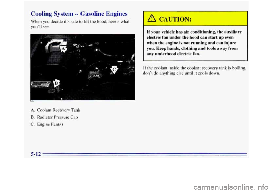 GMC SIERRA 1996  Owners Manual Cooling System -- Gasoline  Engines 
When you decide its  safe to lift the hood,  heres  what 
youll see: 
A. Coolant  Recovery  Tdnk 
B. Radiator Pressure Cap 
C. Engine Fan(s) 
A CAUTION: 
If you