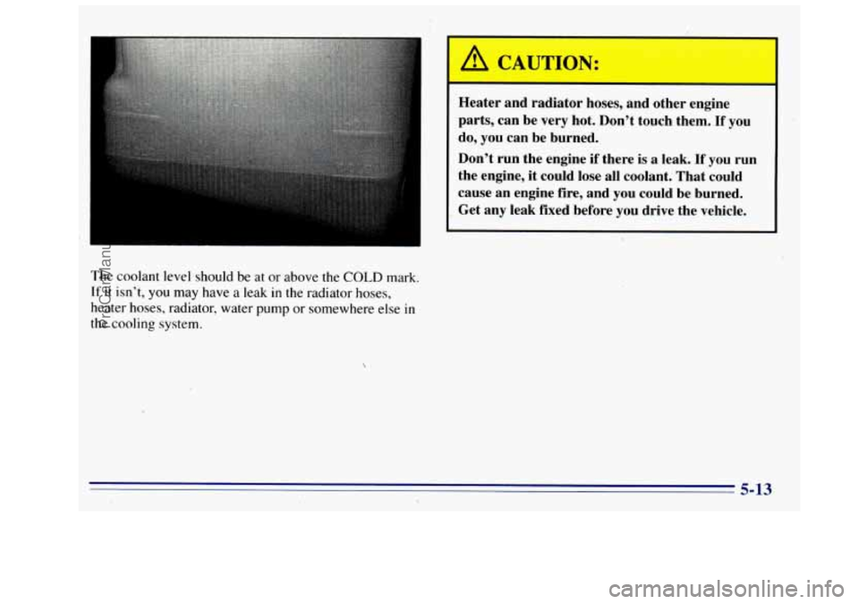 GMC SIERRA 1996  Owners Manual A CAUTION: 
Heater  and  radiator hoses, and  other  engine 
parts,  can  be  very  hot. Dont  touch  them. 
If you 
do,  you  can  be  burned. 
Dont  run  the  engine  if there  is  a  leak. 
If yo