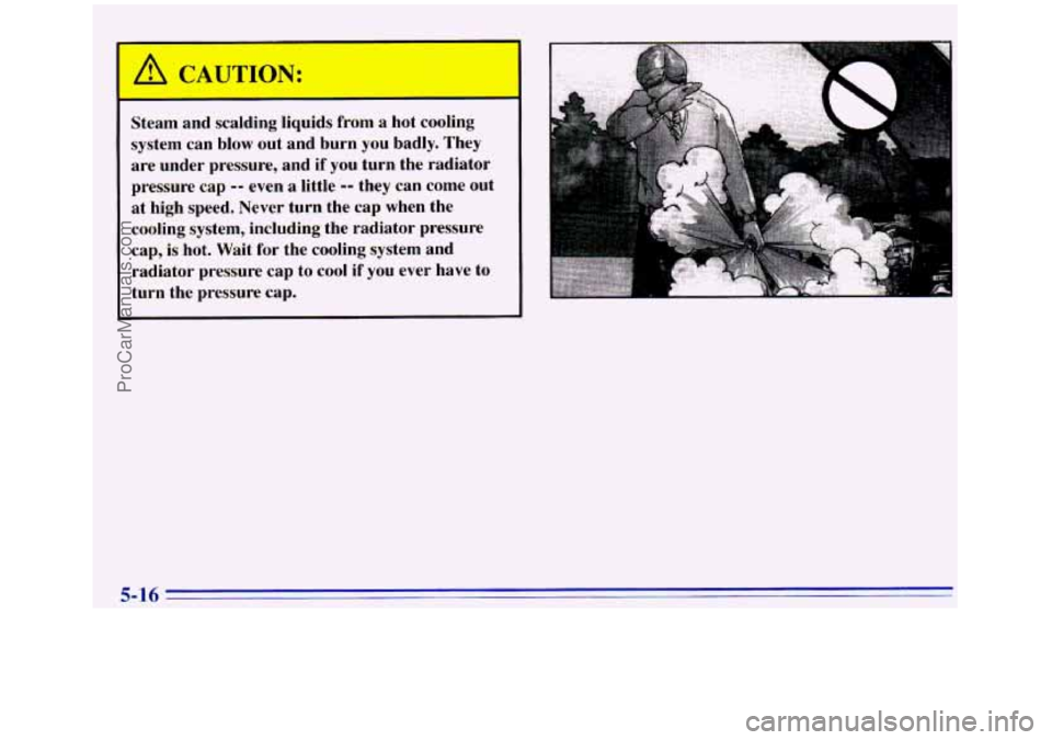 GMC SIERRA 1996  Owners Manual A CAUTION: 
Steam  and  scalding  liquids  from a hot  cooling 
system  can 
blow out  and  burn  you  badly. They 
are  under  pressure, and if you  turn  the  radiator 
pressure  cap 
-- even a litt