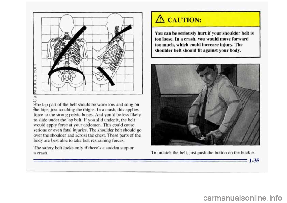 GMC SIERRA 1996  Owners Manual The lap part  of the belt  should  be  worn  low and snug  on 
the  hips,  just touching the  thighs. In a crash,  this applies 
force to  the strong pelvic bones.  And  you’d  be less likely 
to  s