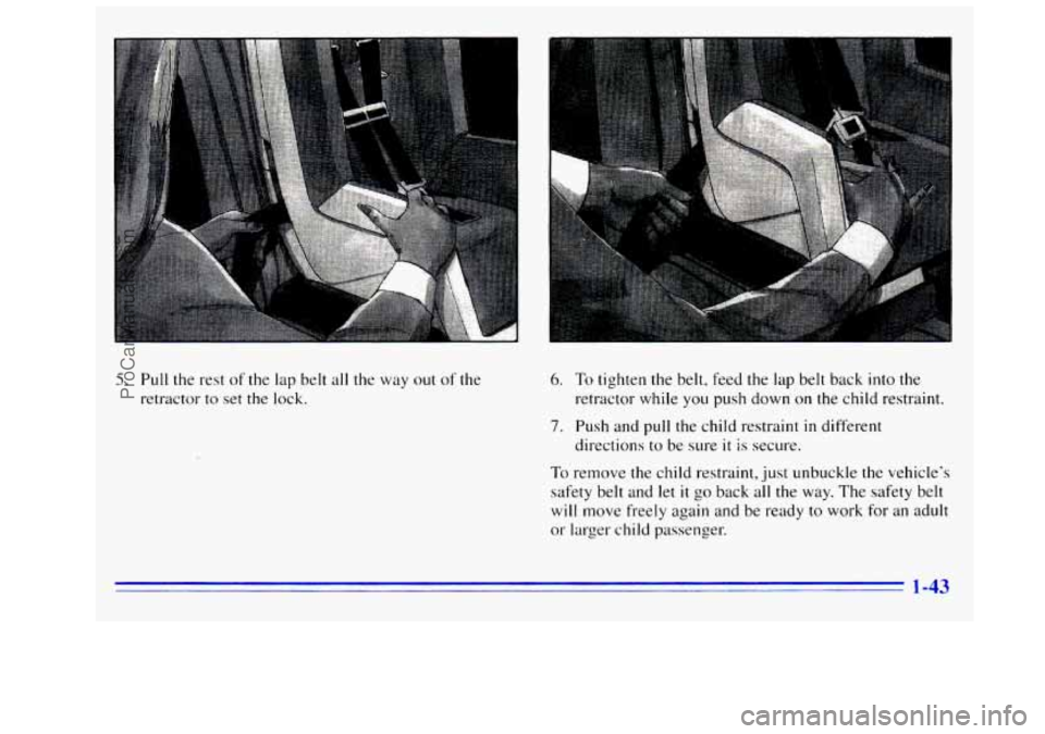 GMC SIERRA 1996  Owners Manual 5. Pull the rest of the lap belt  all  the way  out of the 
retractor 
to set the lock. 
6. To tighten the belt, feed the lap  belt  back into the 
retractor while  you push  down on the child restrai