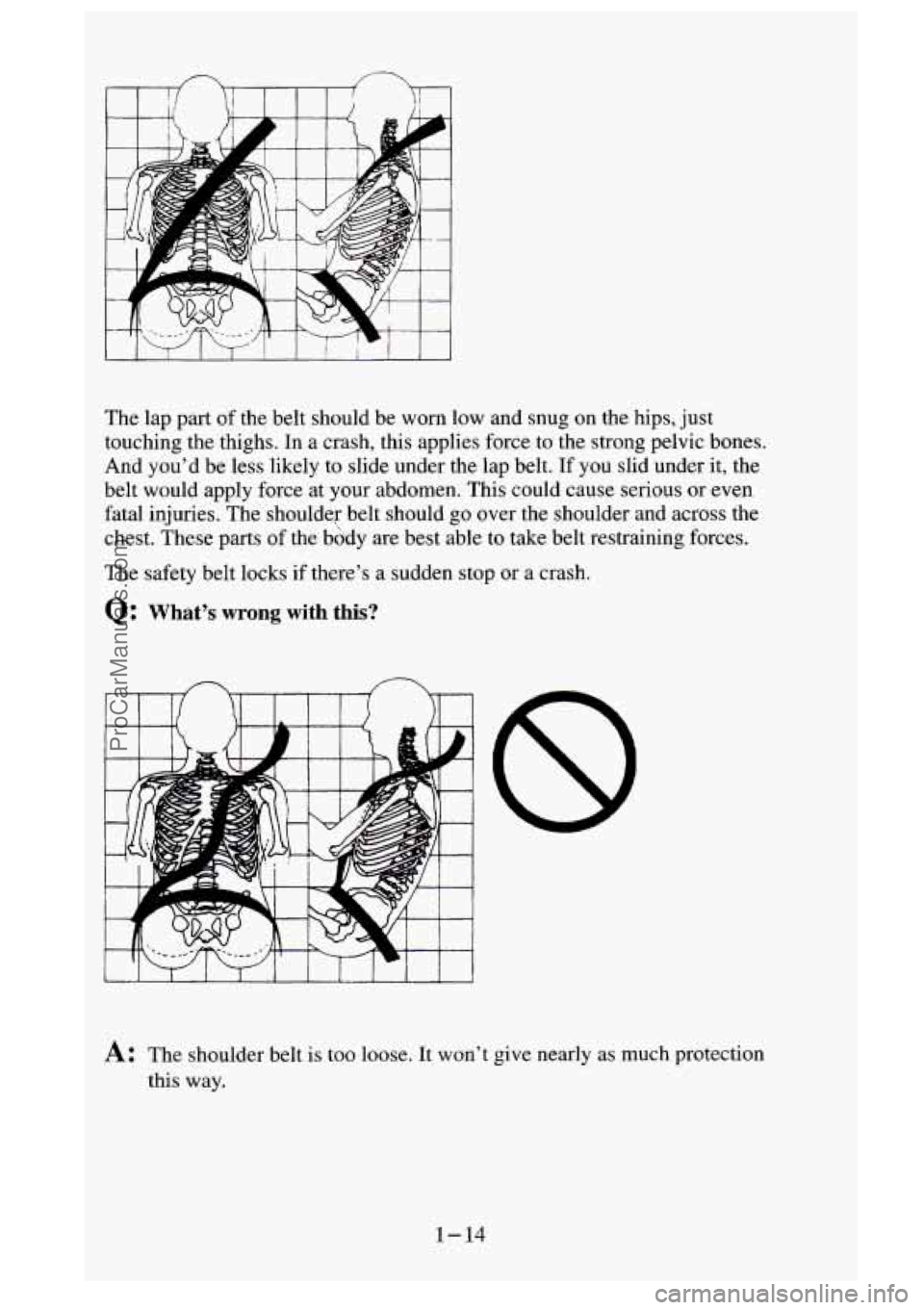 GMC SIERRA 1995  Owners Manual The  lap  part of the belt should  be  worn low and snug on the hips,  just 
touching  the  thighs. In a crash,  this  applies  force  to  the strong pelvic bones. 
And you’d  be  less likely to  sl