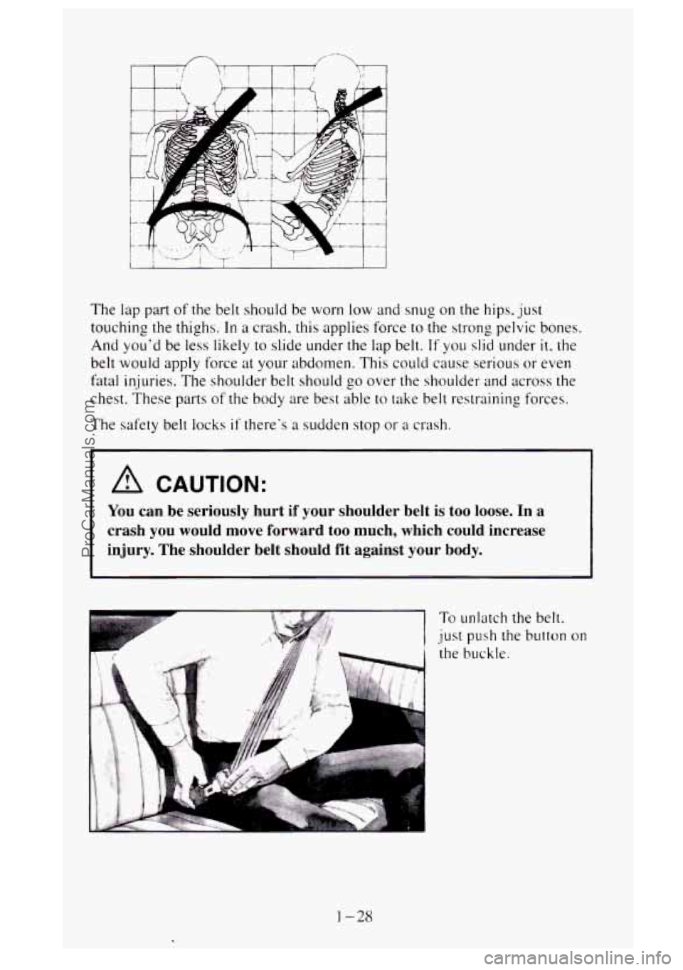 GMC SIERRA 1995  Owners Manual The lap part of the  belt should be  worn low and snug  on  the hips. just 
touching  the thighs. 
In a crash,  this applies force to the strong  pelvic bones. 
And  youd  be less  likely 
to slide u
