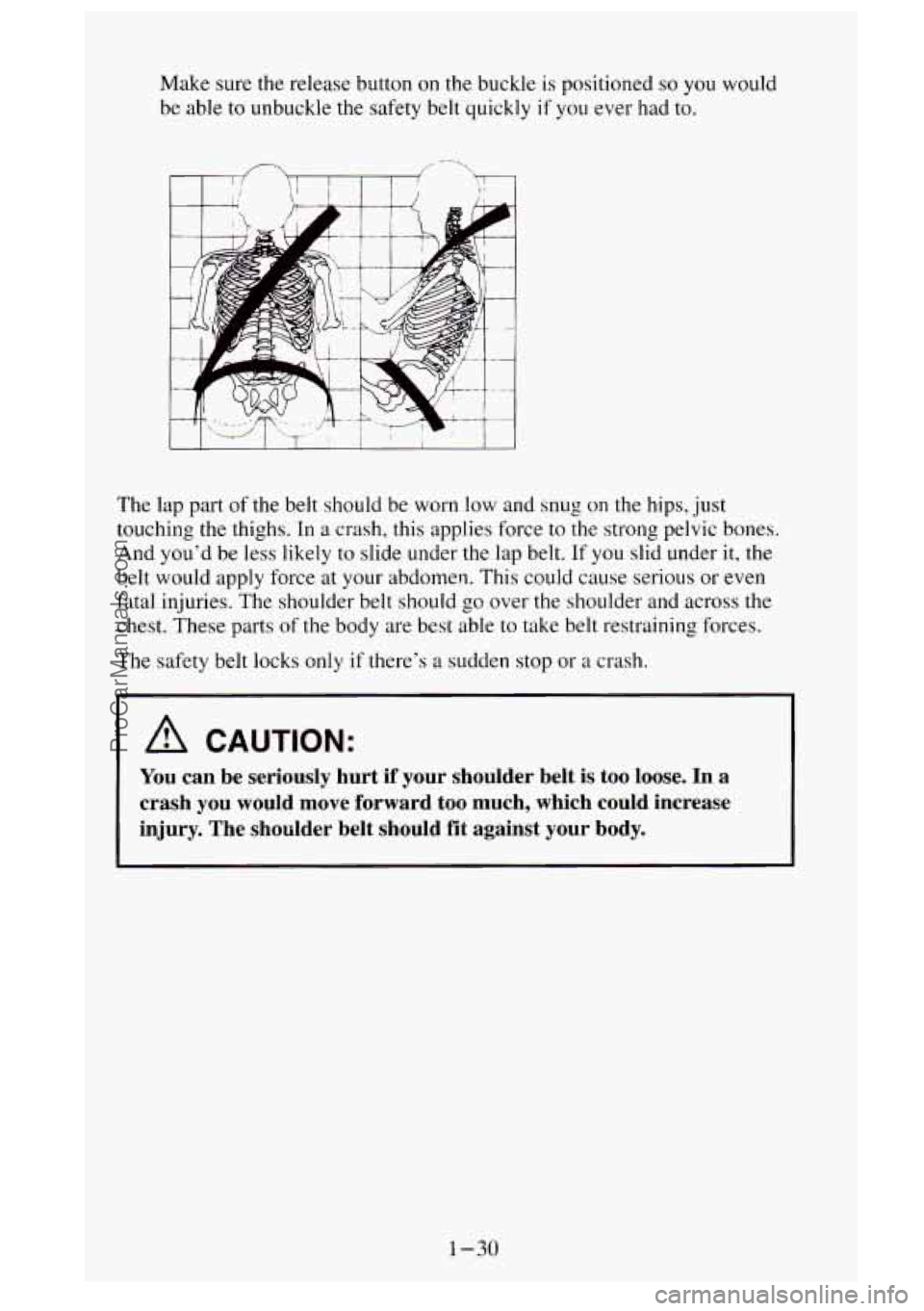 GMC SIERRA 1995  Owners Manual Make  sure the release button on the buckle is positioned so you would 
be  able  to unbuckle  the safety belt quickly 
if you  ever  had to. 
, -- 
The  lap  part of the belt  should  be  worn low a