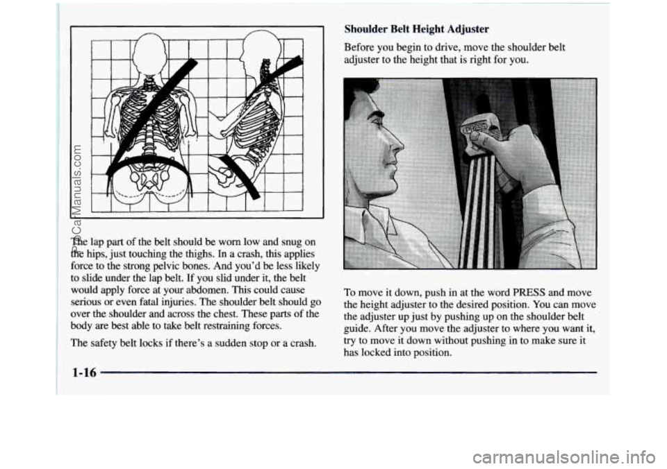 GMC SIERRA 1997  Owners Manual The  lap  part of the  belt  should  be  worn  low  and  snug  on 
the  hips,  just  touching  the  thighs. 
In a  crash,  this  applies 
force  to the  strong  pelvic  bones.  And  you’d  be  less 