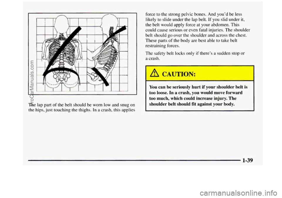 GMC SIERRA 1997  Owners Manual The lap part of the  belt  should  be  worn  low  and  snug  on 
the hips, just touching the  thighs. In a crash, this applies  force 
to the  strong  pelvic  bones.  And  you’d  be  less 
likely 
t