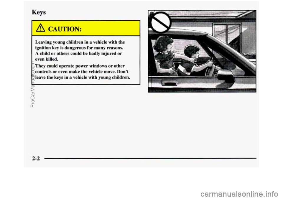 GMC SIERRA 1997  Owners Manual Keys 
1 
CAUTION: 
I 
Leaving  young  children  in  a  vehicle  with  the ignition  key 
is dangerous  for  many  reasons. 
A child  or  others  could  be  badly  injured  or 
even  killed. 
They  cou