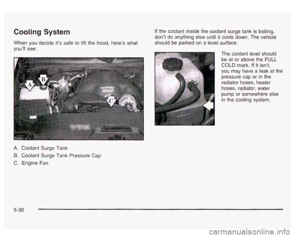 GMC SIERRA DENALI 2003  Owners Manual Cooling System 
When you decide its safe to lift the hood,  heres what 
youll  see: 
If the  coolant  inside the  coolant  surge  tank  is boiling, 
dont  do  anything else until  it  cools  down.