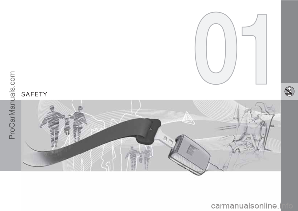 VOLVO V60 2013  Owners Manual SAFETY
ProCarManuals.com 