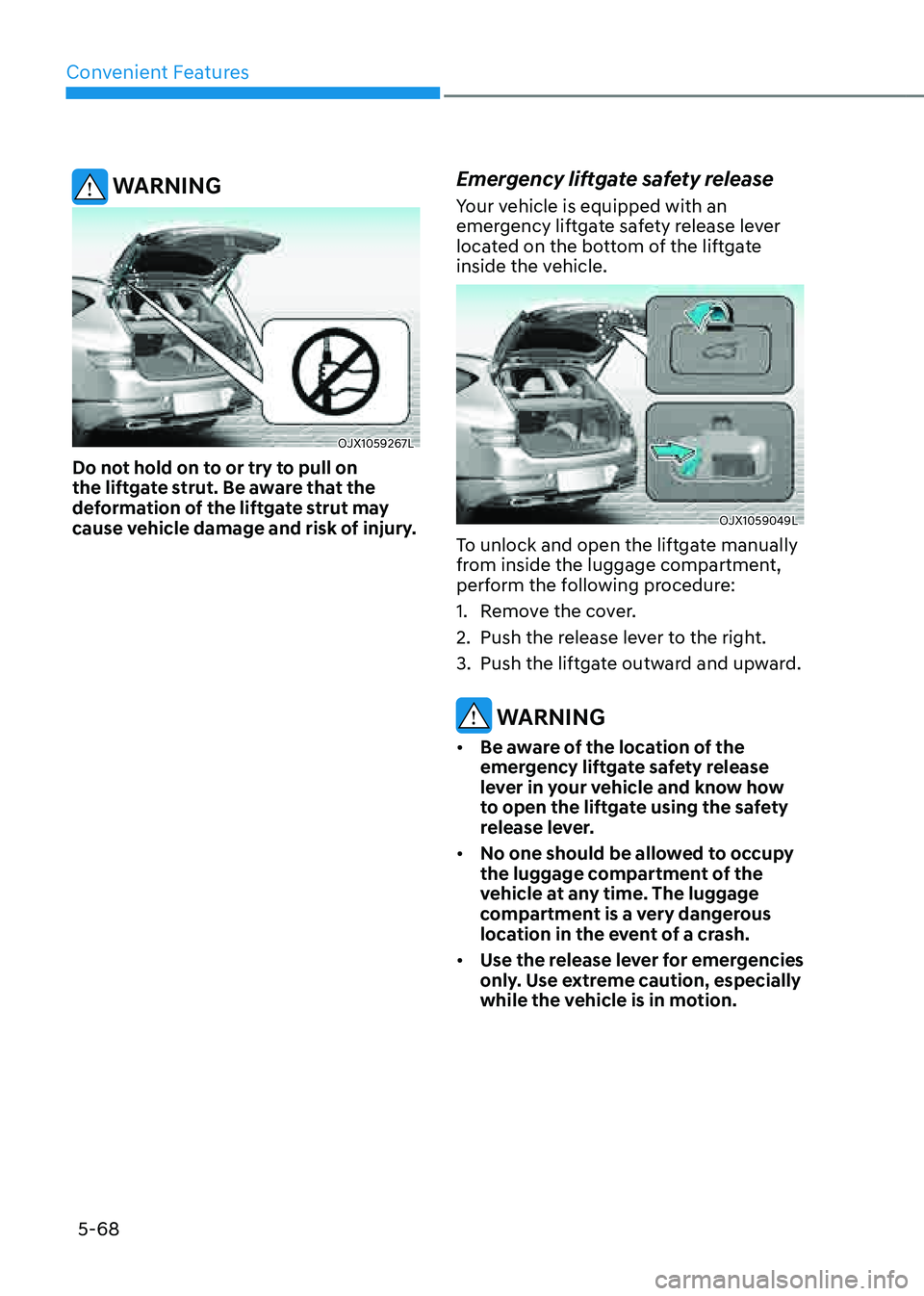 GENESIS GV80 2021  Owners Manual Convenient Features
5-68
 WARNING
OJX1059267LOJX1059267L
Do not hold on to or try to pull on 
the liftgate strut. Be aware that the 
deformation of the liftgate strut may 
cause vehicle damage and ris