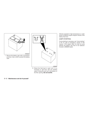 Page 262