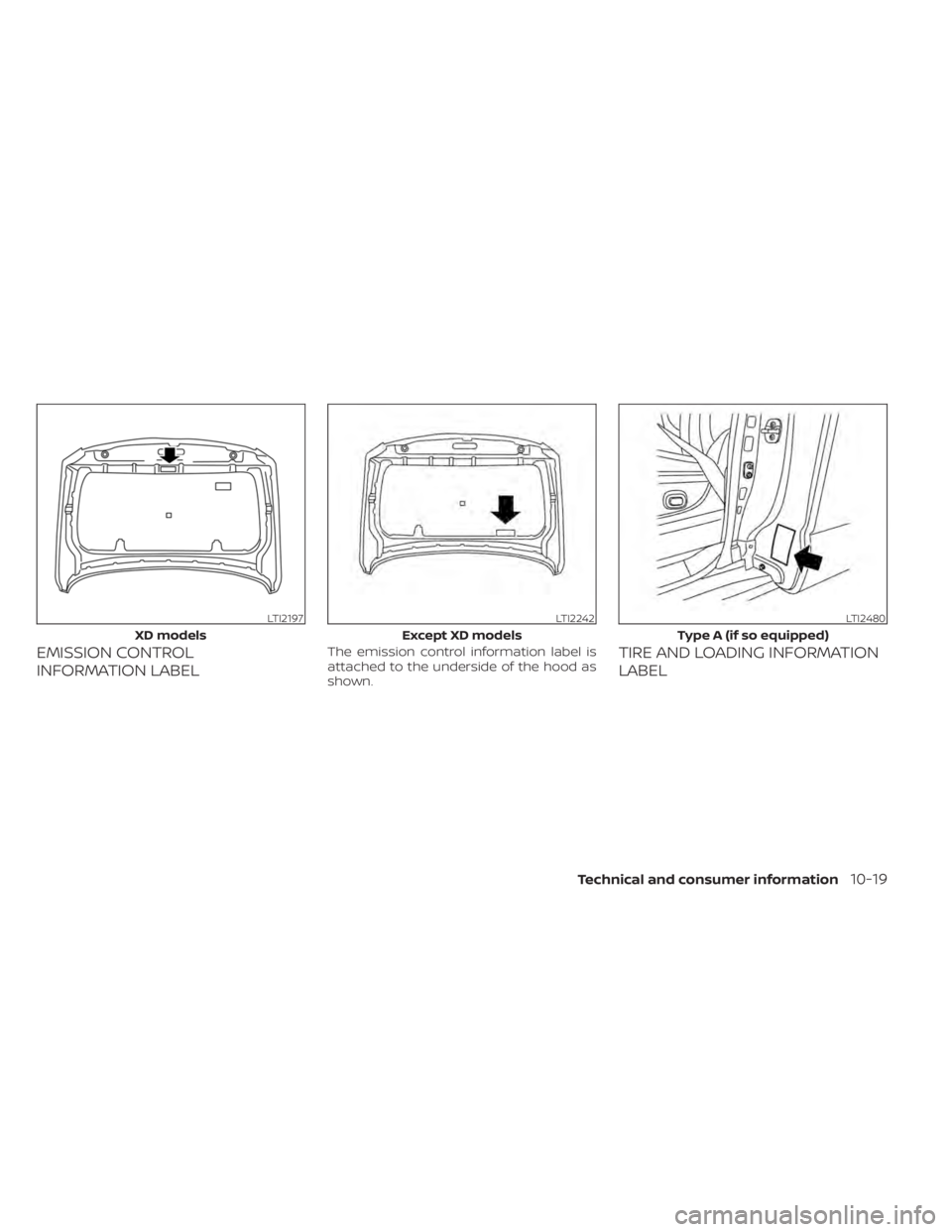 NISSAN TITAN 2021  Owner´s Manual EMISSION CONTROL
INFORMATION LABELThe emission control information label is
attached to the underside of the hood as
shown.TIRE AND LOADING INFORMATION
LABEL
LTI2197
XD models
LTI2242
Except XD models