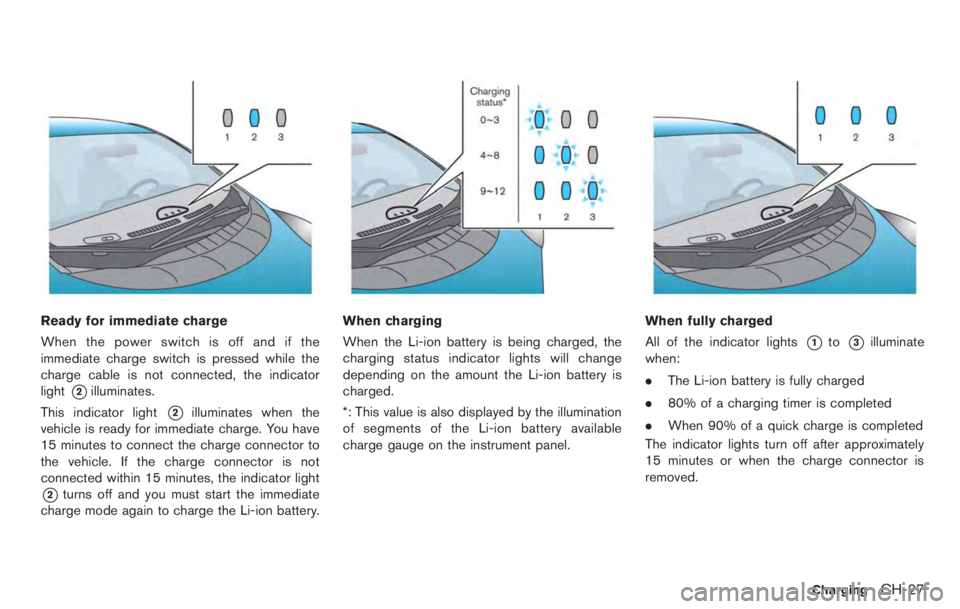 NISSAN LEAF 2012  Owners Manual professional road assistance. 