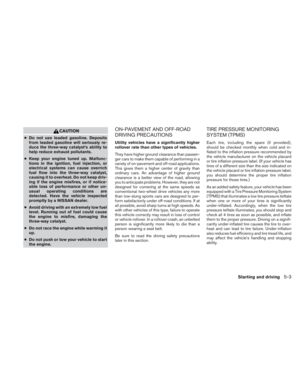 Page 251
