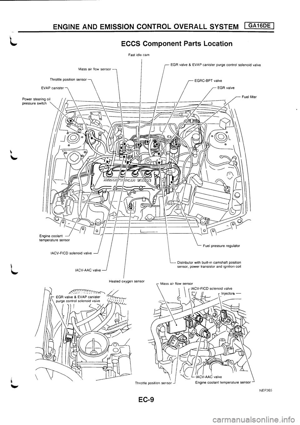 NISSAN PRIMERA 1998  Service Repair Manual 