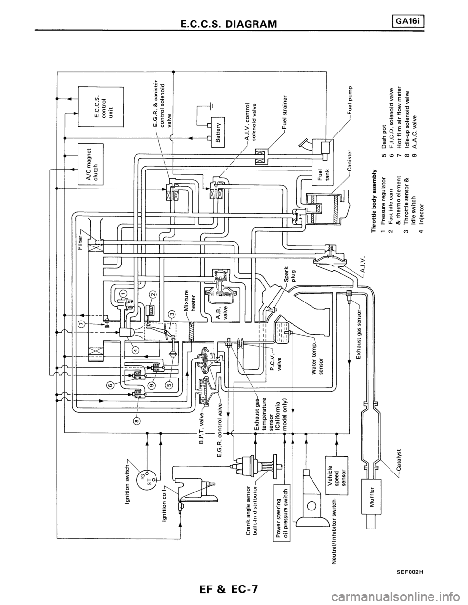 NISSAN PULSAR 1986  Service Manual 