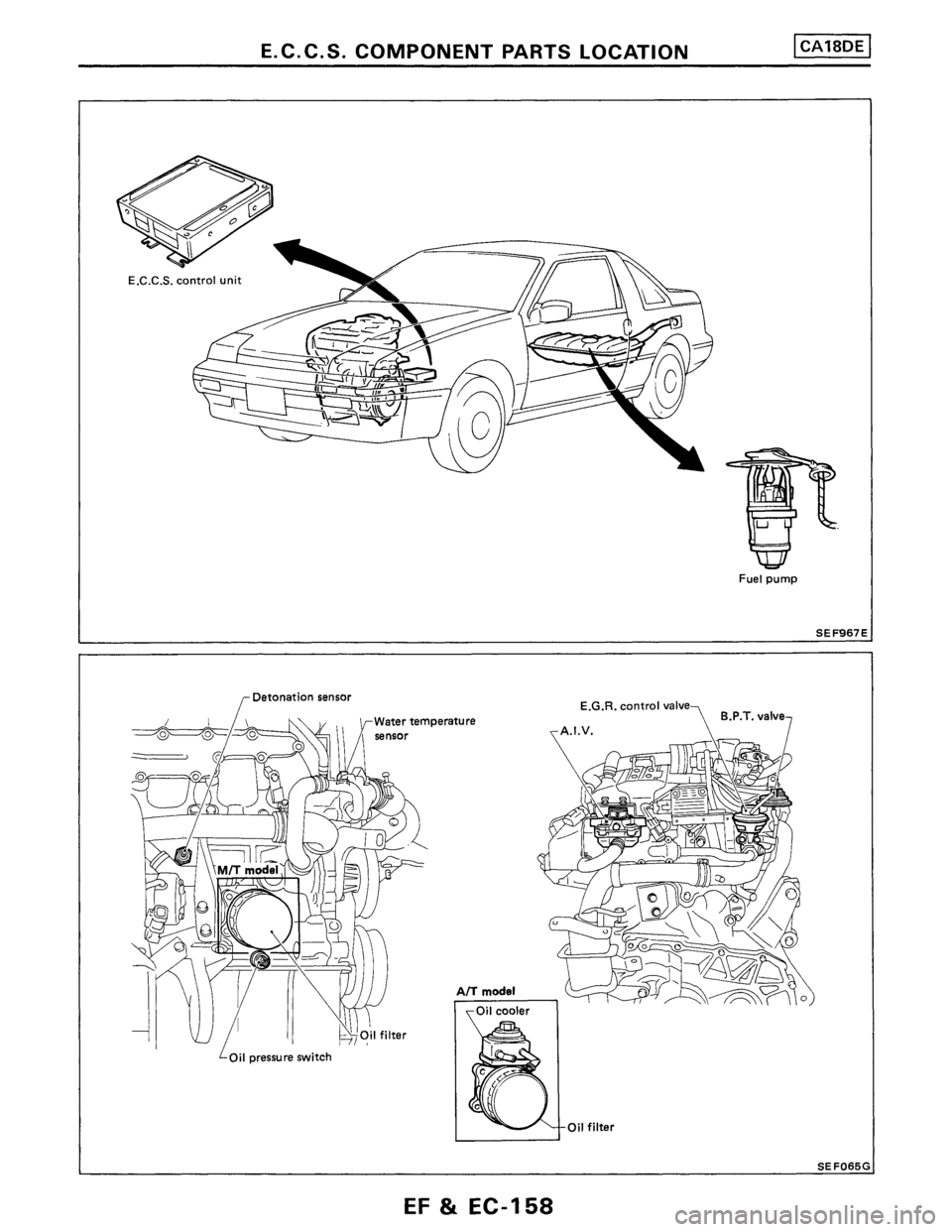 NISSAN PULSAR 1986  Service Manual 