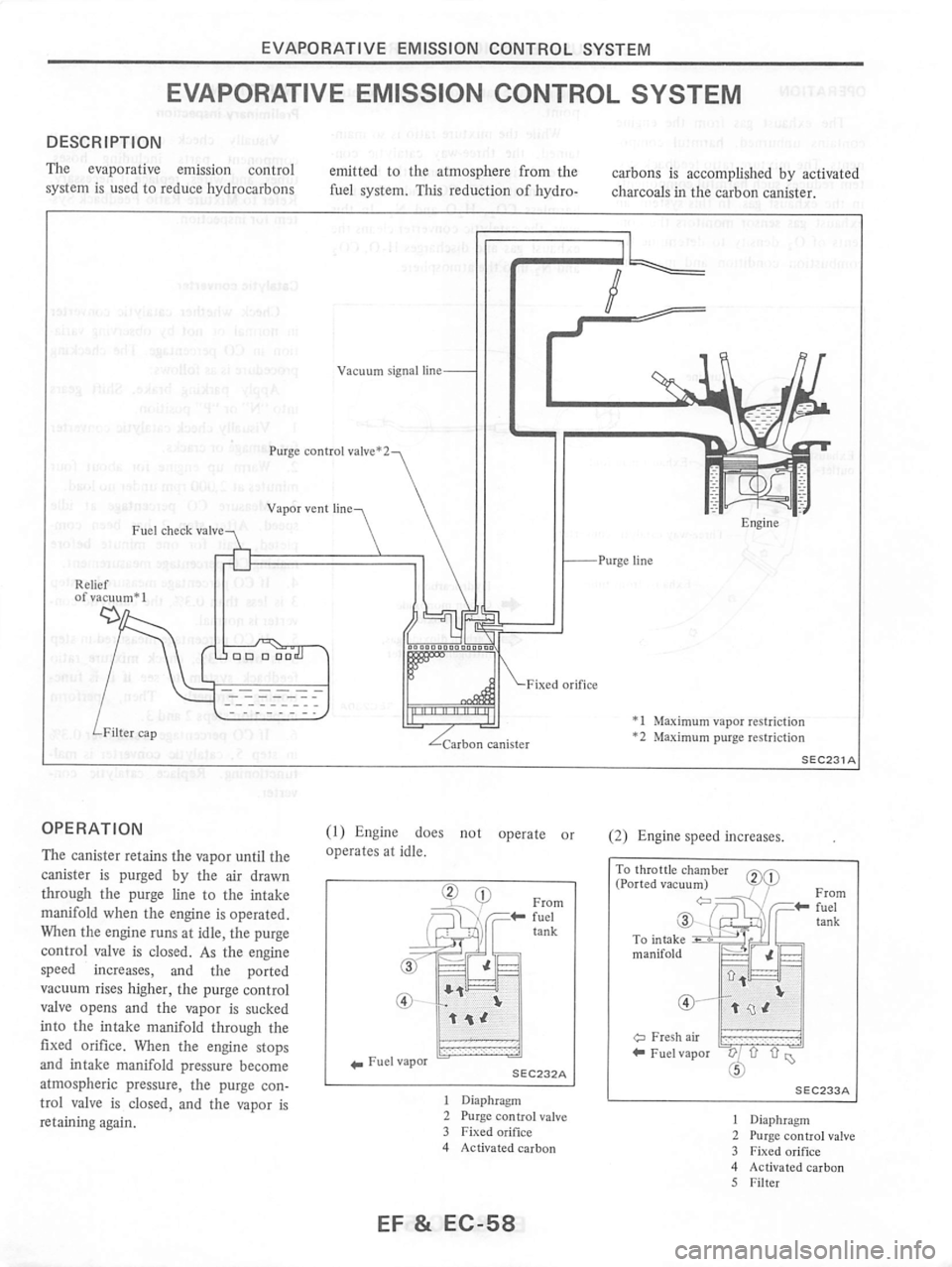 NISSAN PULSAR 1983  Factory Service Manual 