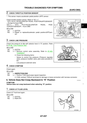 Page 243