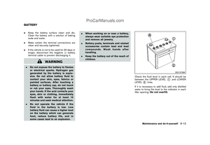 Page 263
