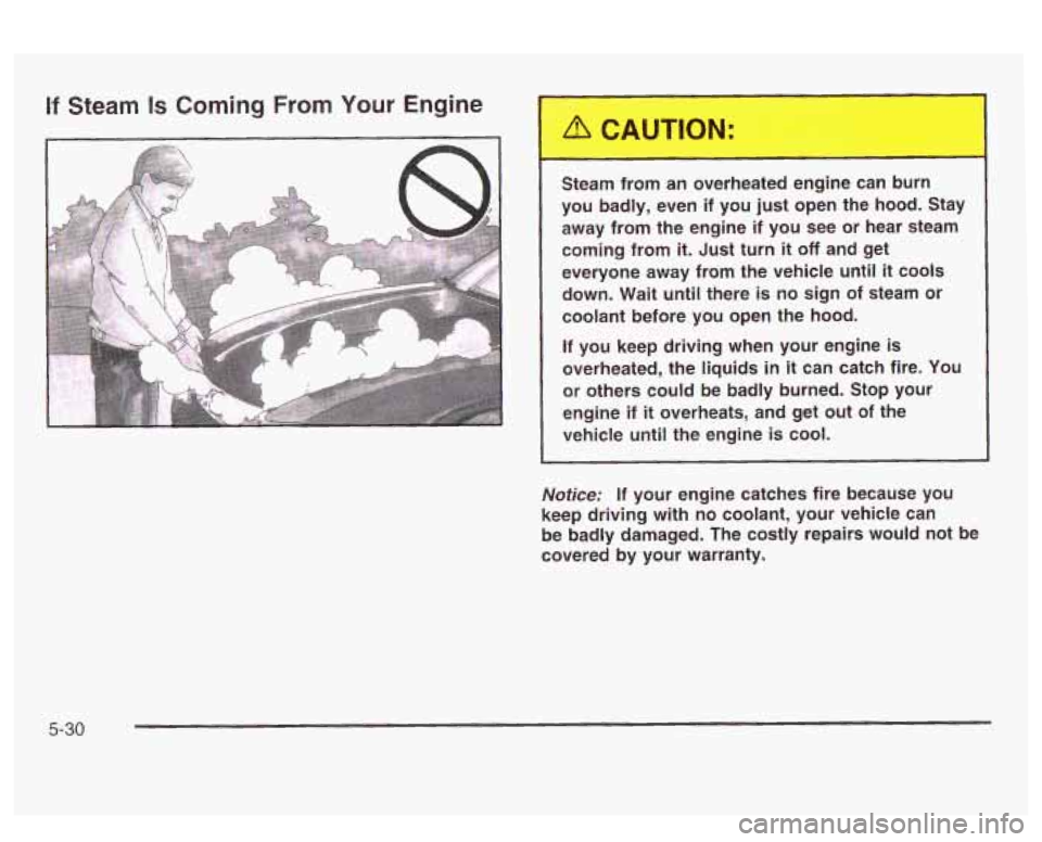 PONTIAC BONNEVILLE 2003  Owners Manual If Steam Is Coming From Your Engine 
Steam from  an  overheated  engine  can ~  ~ rn 
you  badly,  even if you  just  open  the  hood. Stay 
away  from  the  engine  if 
you see or hear  steam 
coming
