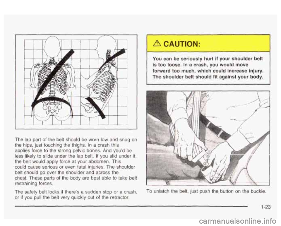 PONTIAC BONNEVILLE 2003  Owners Manual The  lap part of the  belt  should  be worn  low and snug on 
the  hips,  just  touching  the thighs. 
In a crash this 
applies  force  to  the  strong  pelvic  bones. And you’d be 
less  likely  to