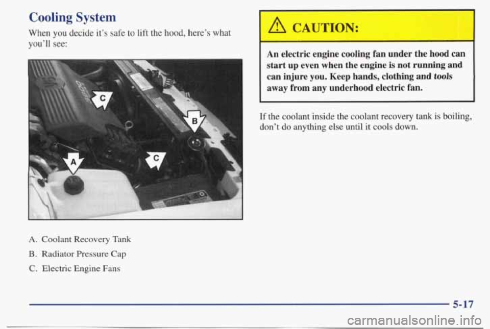PONTIAC BONNEVILLE 1998  Owners Manual Cooling  System 
When you decide it’s safe  to  lift  the  hood,  here’s  what 
you’ll  see: 
: CA 
L 
A CAUTION: 
An  electric  engine  cooling  fan  under  the  hood  can 
start up  even  when