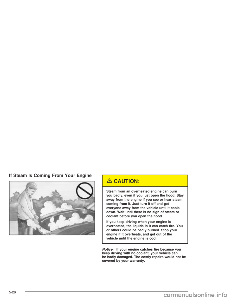 PONTIAC GRAND AM 2004  Owners Manual If Steam Is Coming From Your Engine
{CAUTION:
Steam from an overheated engine can burn
you badly, even if you just open the hood. Stay
away from the engine if you see or hear steam
coming from it. Jus