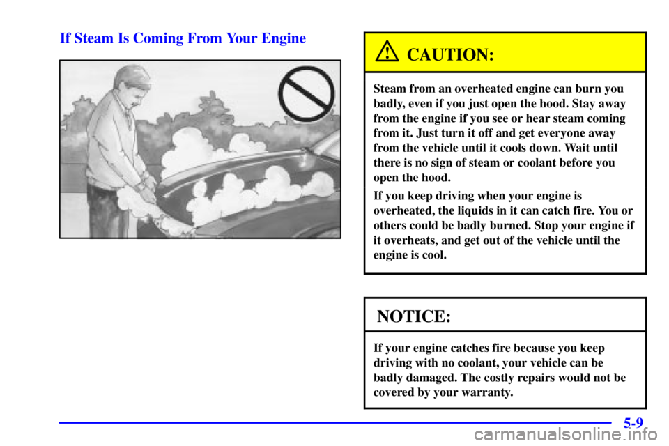 PONTIAC GRAND AM 2002  Owners Manual 5-9 If Steam Is Coming From Your Engine
CAUTION:
Steam from an overheated engine can burn you
badly, even if you just open the hood. Stay away
from the engine if you see or hear steam coming
from it. 