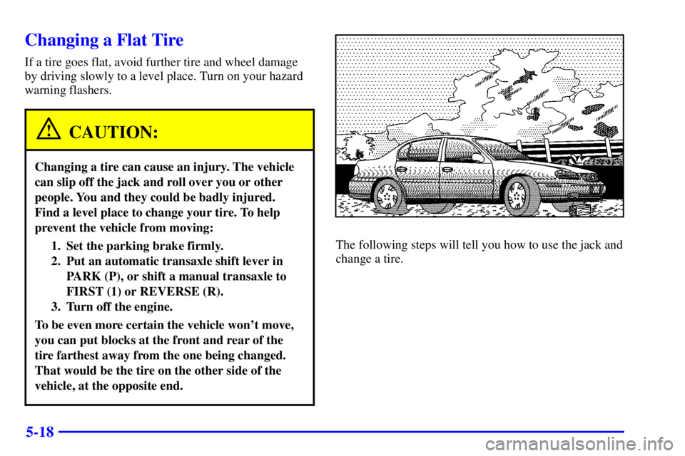 PONTIAC GRAND AM 2001  Owners Manual 5-18
Changing a Flat Tire
If a tire goes flat, avoid further tire and wheel damage
by driving slowly to a level place. Turn on your hazard
warning flashers.
CAUTION:
Changing a tire can cause an injur