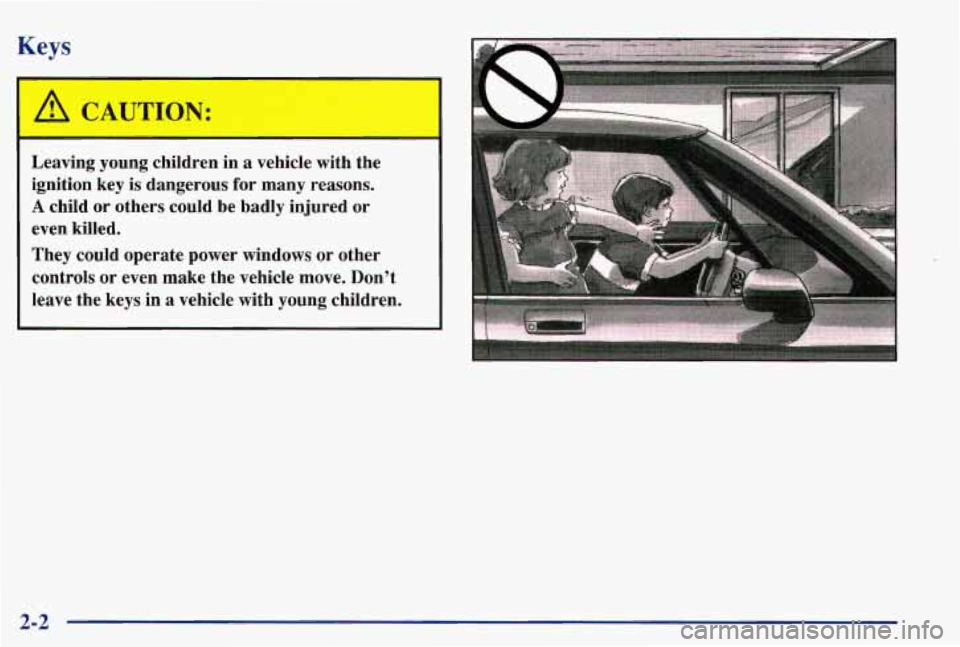 PONTIAC GRAND AM 1997  Owners Manual Keys 
A CAUTION: 
Leaving  young  children in a  vehicle  with  the 
ignition  key 
is dangerous  for  many  reasons. 
A child  or  others  could  be  badly  injured  or 
even  killed. 
They  could  o