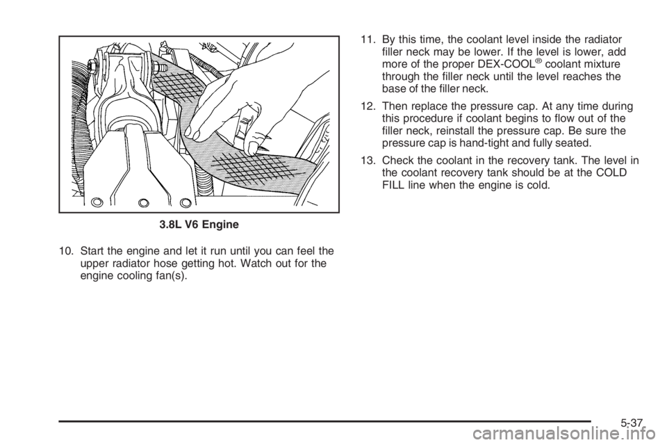 PONTIAC GRAND PRIX 2008  Owners Manual 10. Start the engine and let it run until you can feel the
upper radiator hose getting hot. Watch out for the
engine cooling fan(s).11. By this time, the coolant level inside the radiator
�ller neck m