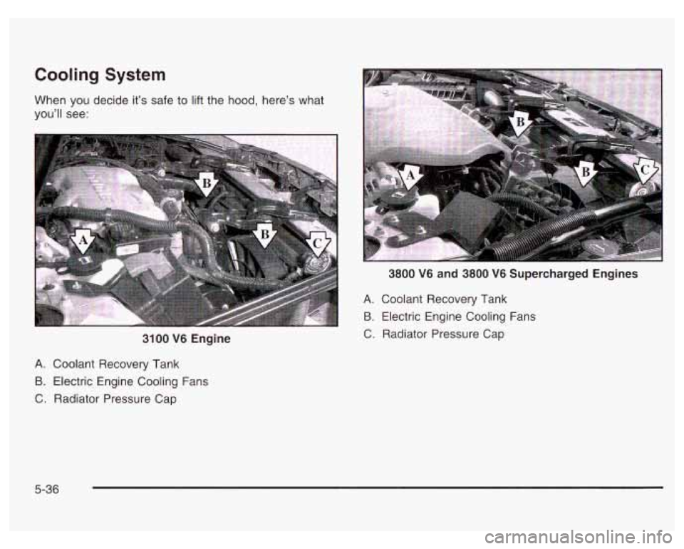 PONTIAC GRAND PRIX 2003  Owners Manual Cooling System 
When you decide it’s safe  to lift the hood,  here’s  what 
you’ll  see: 
I 
3100 V6 Engine 
A. Coolant  Recovery  Tank 
B. Electric Engine Cooling Fans 
C.  Radiator  Pressure  