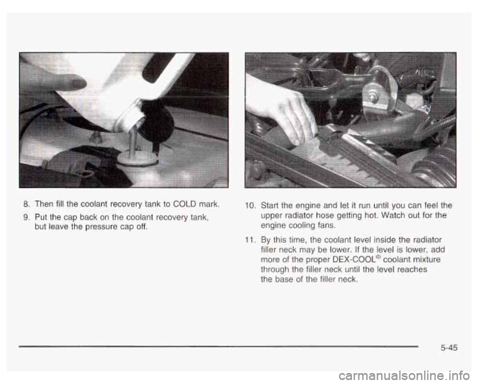 PONTIAC GRAND PRIX 2003  Owners Manual 8. Then fill the  coolant recovery tank  to COLD  mark. 
9. Put  the  cap  back  on  the coolant recovery  tank, 
but  leave  the pressure  cap 
off. 
10. Start the engine and let it  run until  you  
