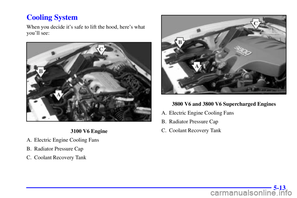 PONTIAC GRAND PRIX 2001  Owners Manual 5-13
Cooling System
When you decide its safe to lift the hood, heres what
youll see:
3100 V6 Engine
A. Electric Engine Cooling Fans
B. Radiator Pressure Cap
C. Coolant Recovery Tank
3800 V6 and 380