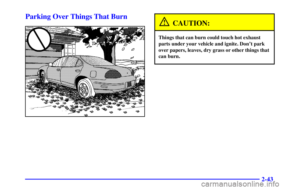 PONTIAC GRAND PRIX 2000  Owners Manual 2-43
Parking Over Things That Burn
CAUTION:
Things that can burn could touch hot exhaust
parts under your vehicle and ignite. Dont park
over papers, leaves, dry grass or other things that
can burn. 