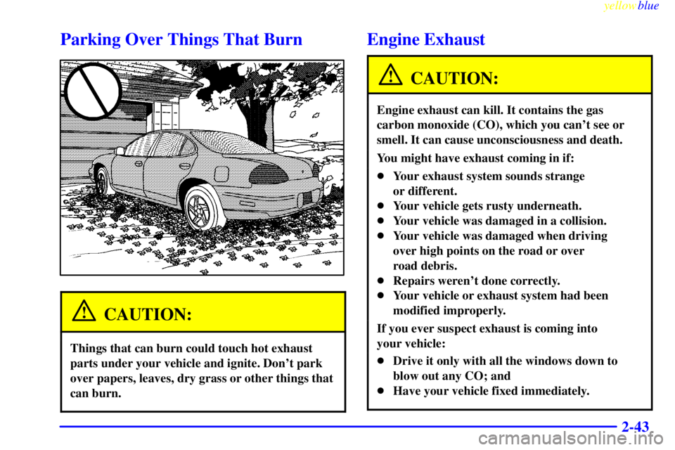 PONTIAC GRAND PRIX 1999  Owners Manual yellowblue     
2-43
Parking Over Things That Burn
CAUTION:
Things that can burn could touch hot exhaust
parts under your vehicle and ignite. Dont park
over papers, leaves, dry grass or other things 