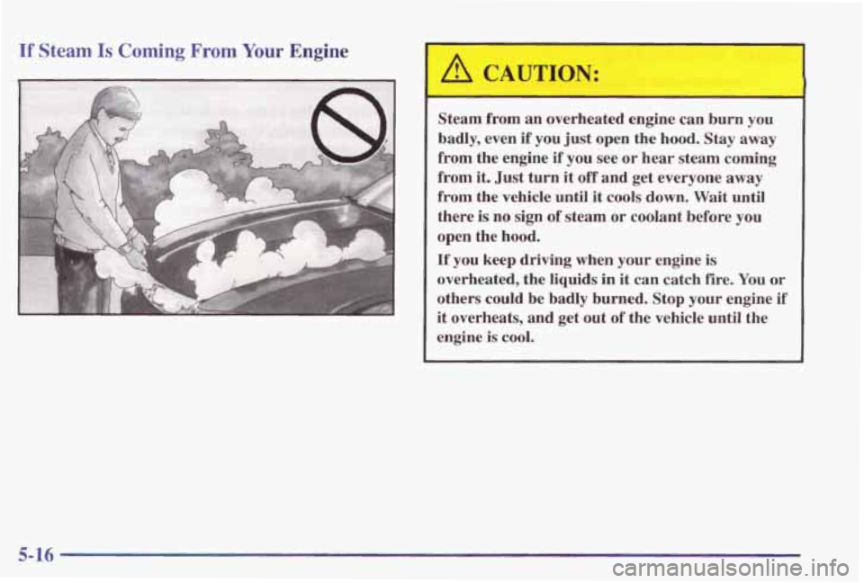 PONTIAC GRAND PRIX 1998  Owners Manual If Steam Is Coming From Your Engine 
A CAUTION: 
- 
Steam  from an overheated  engine  can  burn  you 
badly, even  if  you just open  the hood.  Stay  away 
from  the  engine 
if you  see or  hear  s