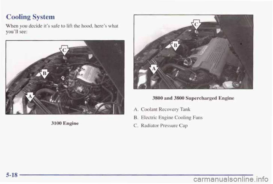 PONTIAC GRAND PRIX 1998  Owners Manual Cooling System 
When you decide  it’s safe to lift  the hood, here’s what 
you’ll  see: 
3100 Engine 
3800 and 3800 Supercharged  Engine 
A. Coolant  Recovery Tank 
B. Electric  Engine  Cooling 