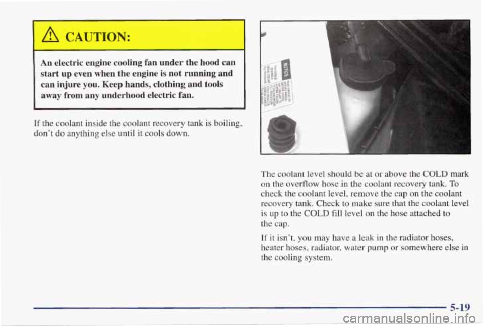 PONTIAC GRAND PRIX 1998  Owners Manual ’ A CAUTION: 
An electric  engine  cooling  fan  under  the  hood  can 
start up  even  when  the  engine  is  not  running  and 
can  injure  you.  Keep  hands,  clothing  and  tools 
away 
from an