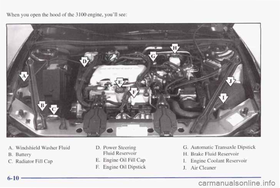 PONTIAC GRAND PRIX 1998  Owners Manual When you open the hood of the 3100 engine, youll  see: 
n 
A. Windshield Washer Fluid 
B. Battery 
C. Radiator  Fill Cap 
D. Power  Steering 
Fluid  Reservoir 
E. Engine  Oil  Fill Cap 
E Engine  Oil