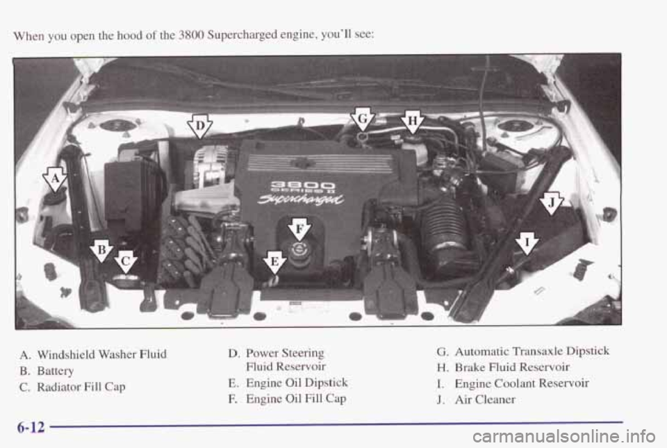 PONTIAC GRAND PRIX 1998  Owners Manual When you open  the hood of the 3800 Supercharged  engine, youll  see: 
D. Power  Steering 
Fluid  Reservoir 
E. Engine  Oil  Dipstick 
F.  Engine  Oil  Fill  Cap 
G. Automatic  Transaxle  Dipstick 
H