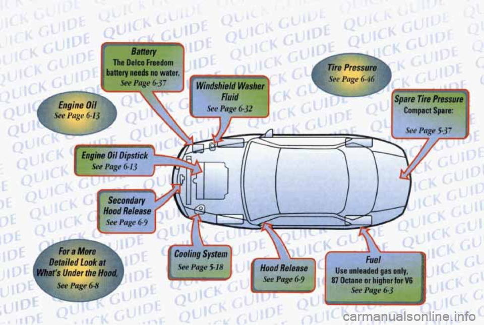PONTIAC GRAND PRIX 1998  Owners Manual Washer 
!l 
For a More 
Detailed 
Look at 
Vhat’s Under the Hood. 
00 P#IdlO As? 
moa Herease 
8 See Page 6-9 
. . .. ..  